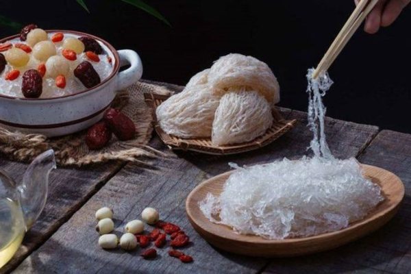 edible bird's nest edible bird's nest